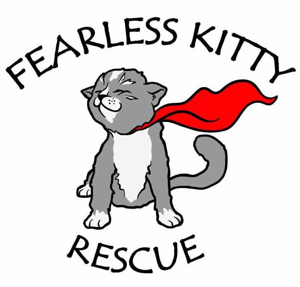 Fearless-Kitty-Rescue2